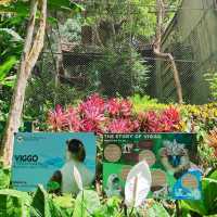🌴 Davao: Nature, Culture, and Calm in the Heart of Mindanao 🌋
