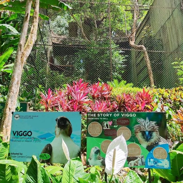 🌴 Davao: Nature, Culture, and Calm in the Heart of Mindanao 🌋