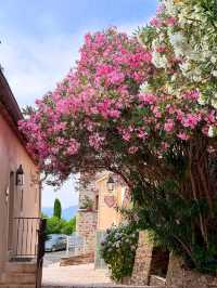 🌿 Gassin: A Hilltop Jewel Overlooking the Glamour of Saint-Tropez 🇫🇷✨