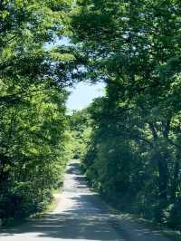 Wandering Through Huinan: The Green Heart of Jilin