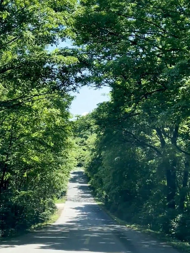 Wandering Through Huinan: The Green Heart of Jilin