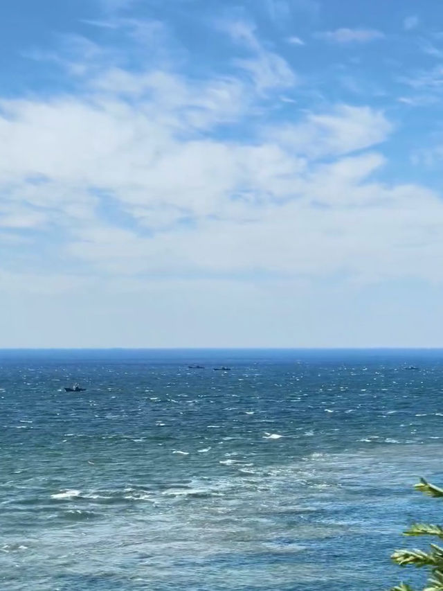A Day in Lüshun: History, Nature, and Surprises by the Sea