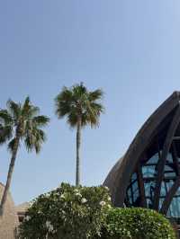Don’t Miss These Must Do In Doha Spots! 🇶🇦