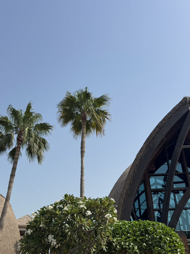 Don’t Miss These Must Do In Doha Spots! 🇶🇦