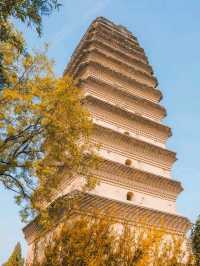 🏯Xi’an - Where Ancient China Comes to Life