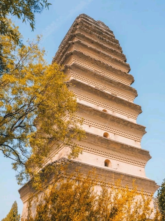 🏯Xi’an - Where Ancient China Comes to Life