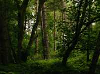 Tranquility and serenity in Freshfield 