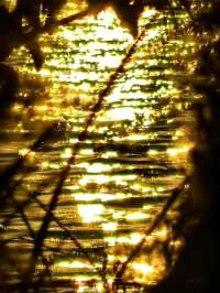 ✨ This is not London. This is Suzhou’s Golden Hour Magic ✨