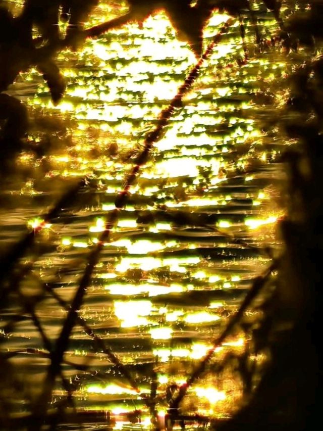 ✨ This is not London. This is Suzhou’s Golden Hour Magic ✨