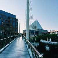 Cruising Baltimore’s Inner Harbor