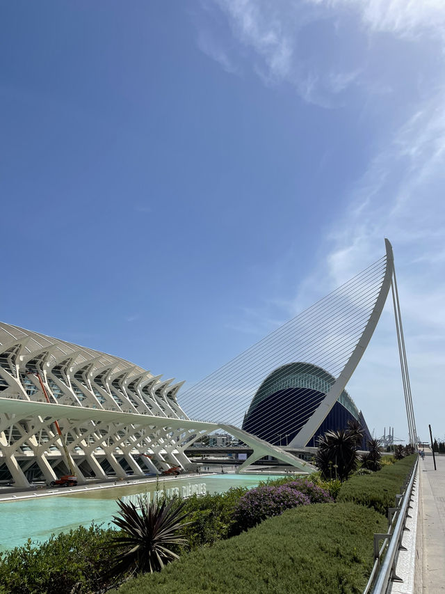 Ciudad de las Artes: Futuristic Beauty in Valencia ✨🏛️🌊