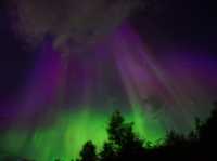Aurora Magic Awaits🌌