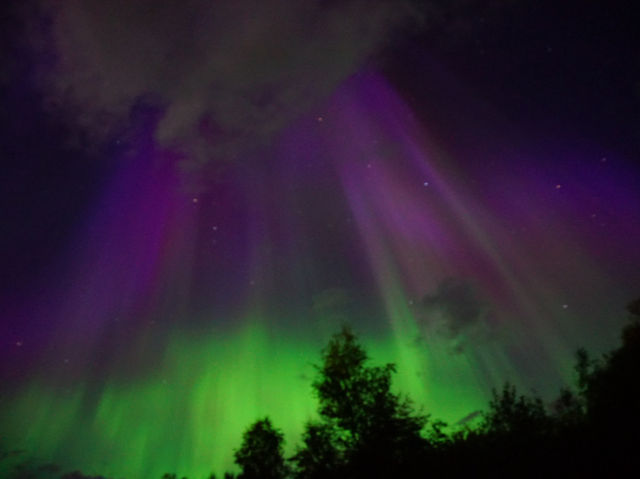 Aurora Magic Awaits🌌