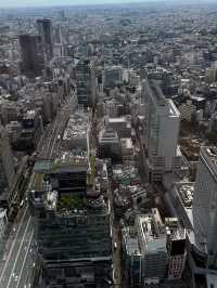 Urban Views in Tokyo🏙️