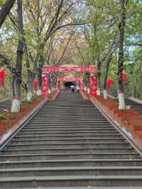 🌳 Serenity Above the City: Visiting Hongshan Park in Urumqi