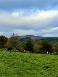 Country Stillness