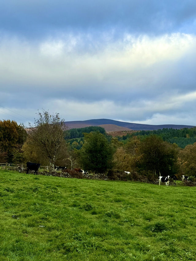 Country Stillness