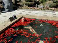 Почему стоит посетить горячие источники Пияньшань?