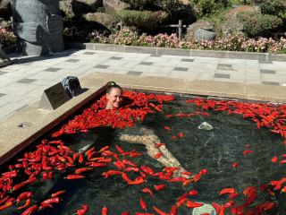 Why should you visit the Piyanshan hot springs?