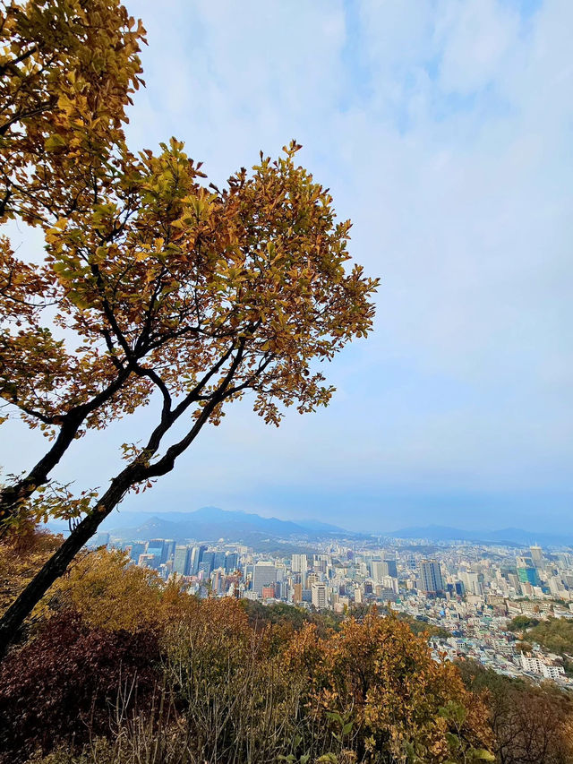 Seoul in Autumn: A Kaleidoscope of Colors 🇰🇷  