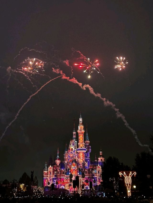 Как приобрести билет в Диснейленд Shanghai Как приобрести билет в Диснейленд Shanghai