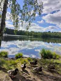 🏙️ Tampere, Finland — The Industrial City with a Creative Soul