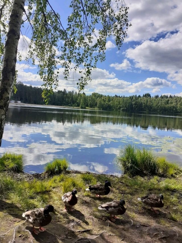 🏙️ Tampere, Finland — The Industrial City with a Creative Soul