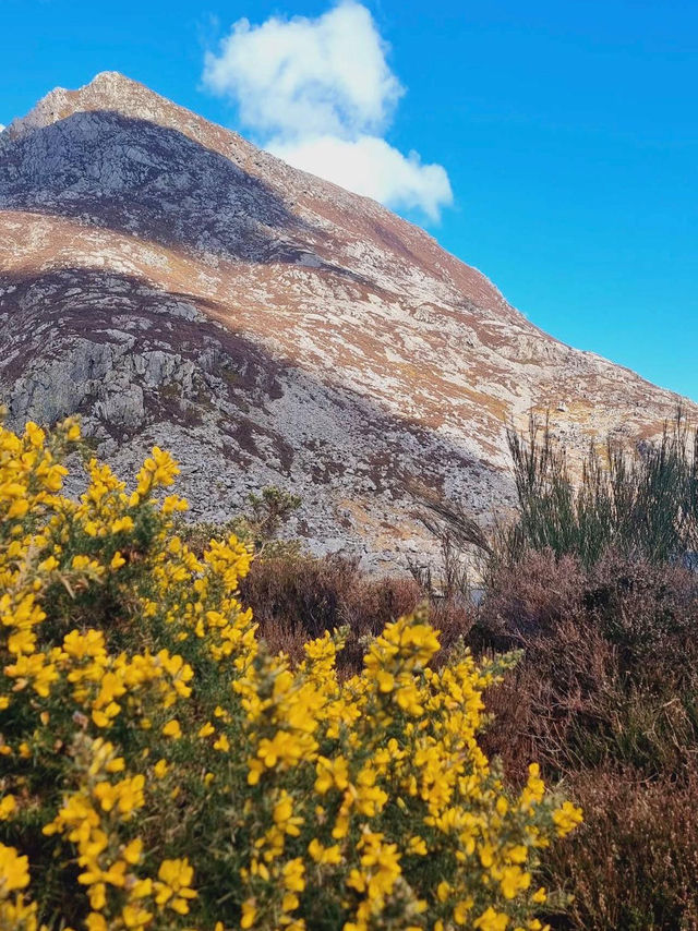 💧 Eryri National Park – Mountain Springs and Crystal Waters ⛰️💦 💧 Eryri National Park – Mountain Springs and Crystal Waters ⛰️💦