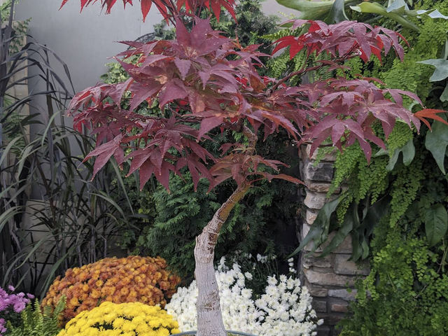 Muttart Conservatory