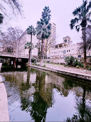 The Soul of the South: San Antonio’s Vibrant Spring Awakening 🇺🇸