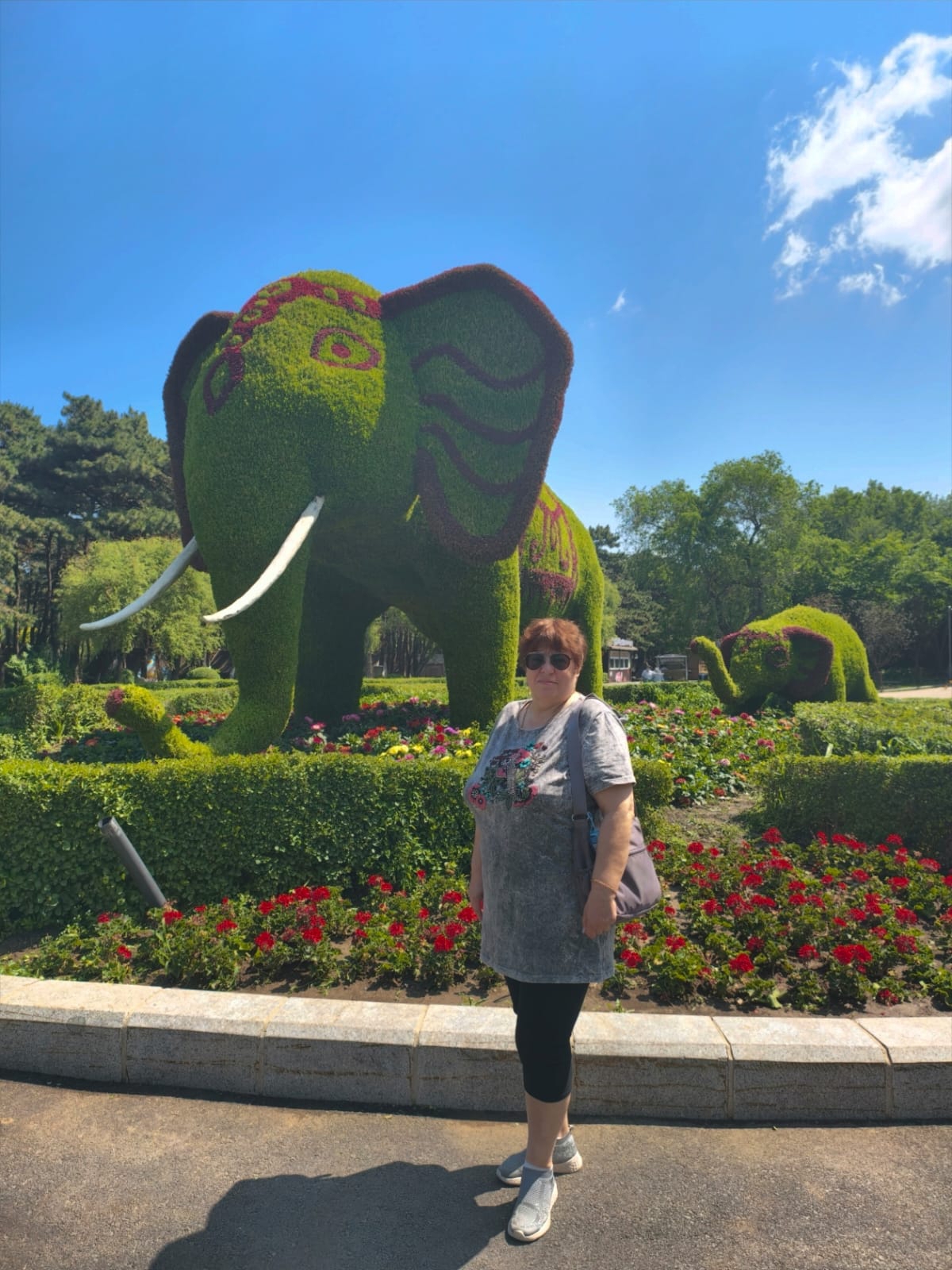 長春動植物公園：為小熊貓而來。