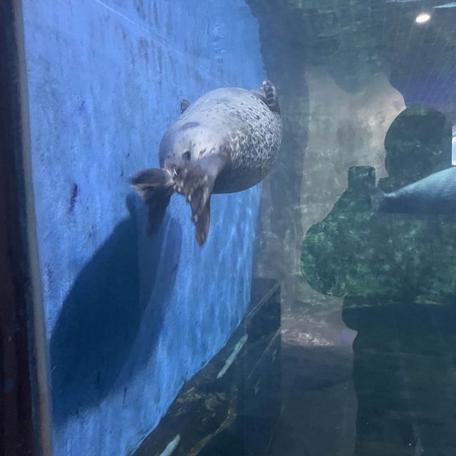 Underwater world Aquarium 