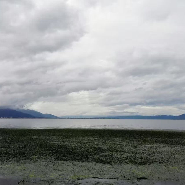 遊覽雲南大理洱海