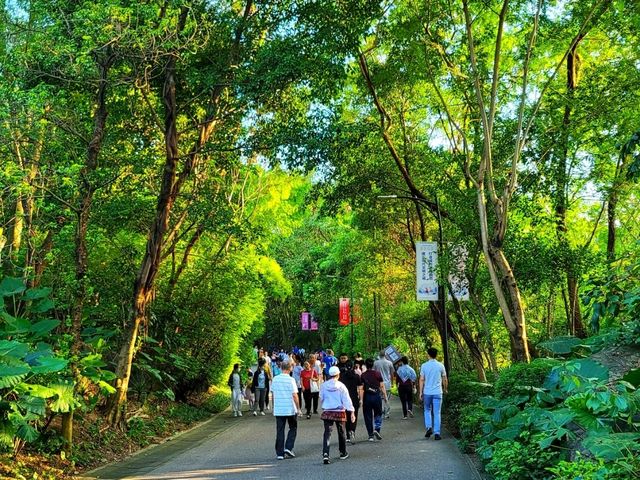 Hilltop Haven in Bao'an 🌳🌸🏞️