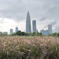打卡深圳灣流花山公園