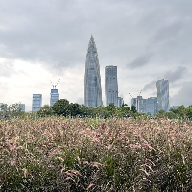 打卡深圳灣流花山公園