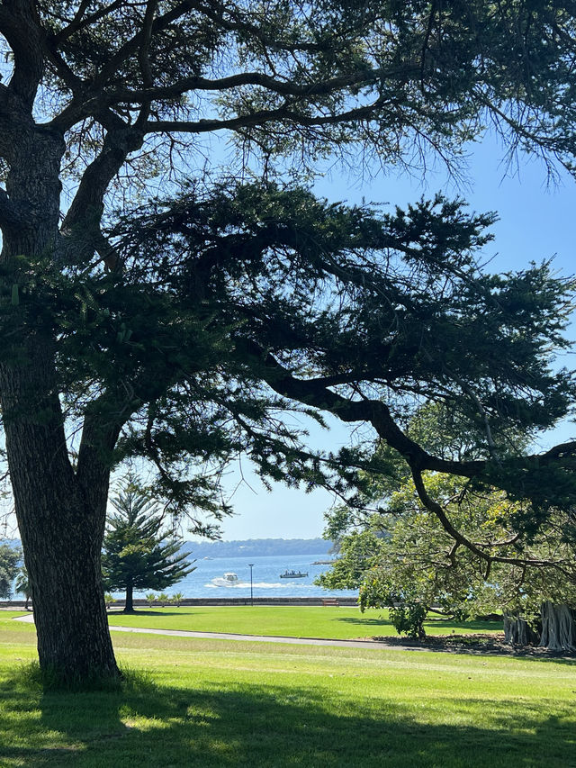 Cool off at the Royal Botanic Garden Sydney.