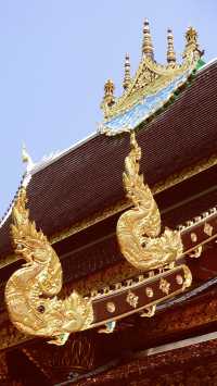 Chiang Mai's largest meditation center, a place where you can truly calm down.