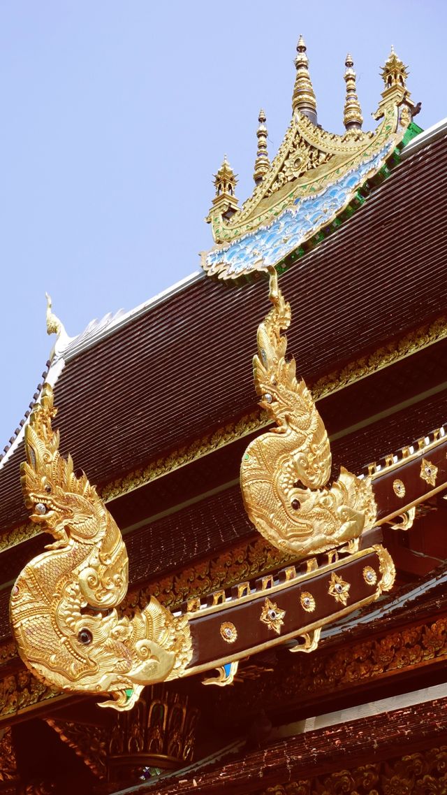 Chiang Mai's largest meditation center, a place where you can truly calm down.