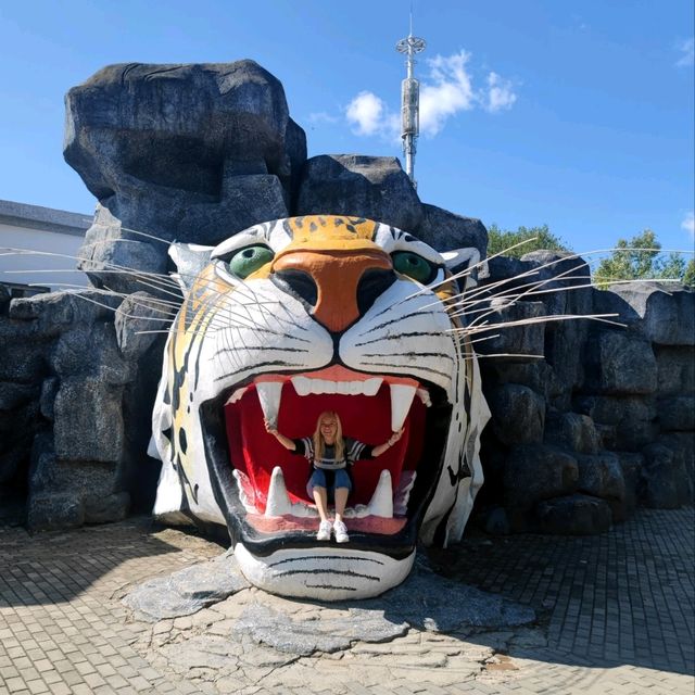 🐅 Majestic Northeast Tiger Forest Park ✨🤩✨