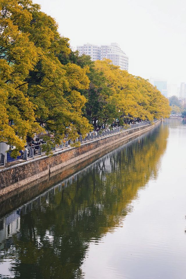 昆明周邊｜大觀河畔的秋景