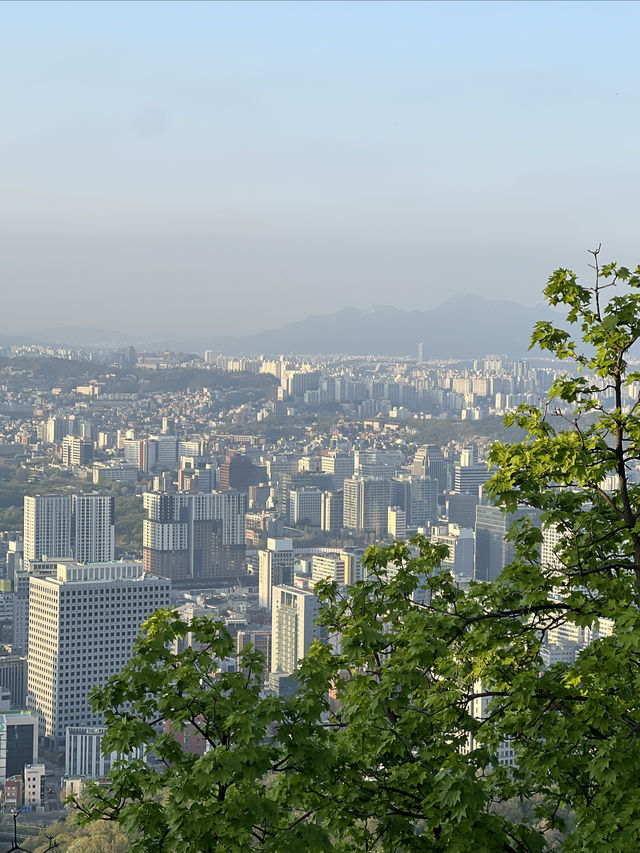 如何以最便捷的方式登上南山公園