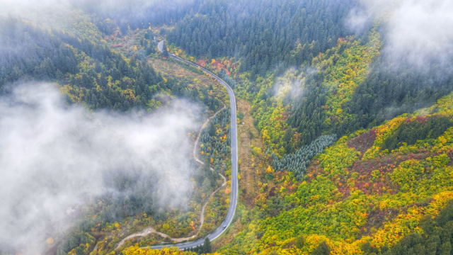 秋到榆中興隆山