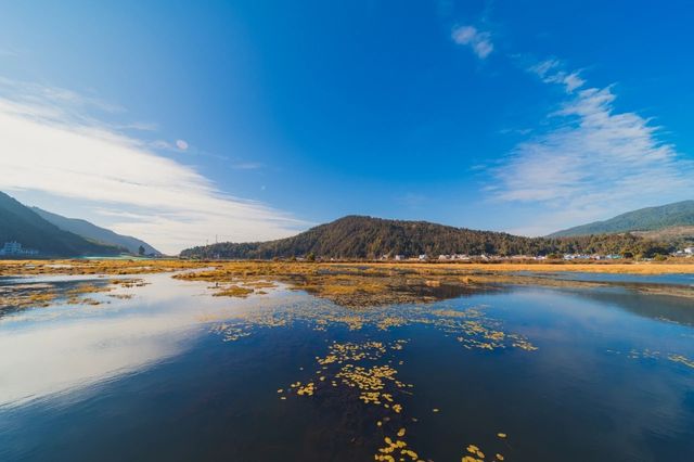 觀鳥聖地，冬日靜謐美好：騰衝北海濕地