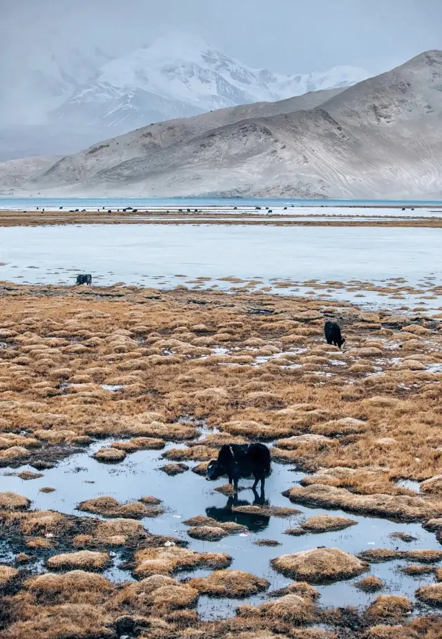 If you haven't been to Southern Xinjiang, you won't know the beauty of Xinjiang - the Pamir Plateau