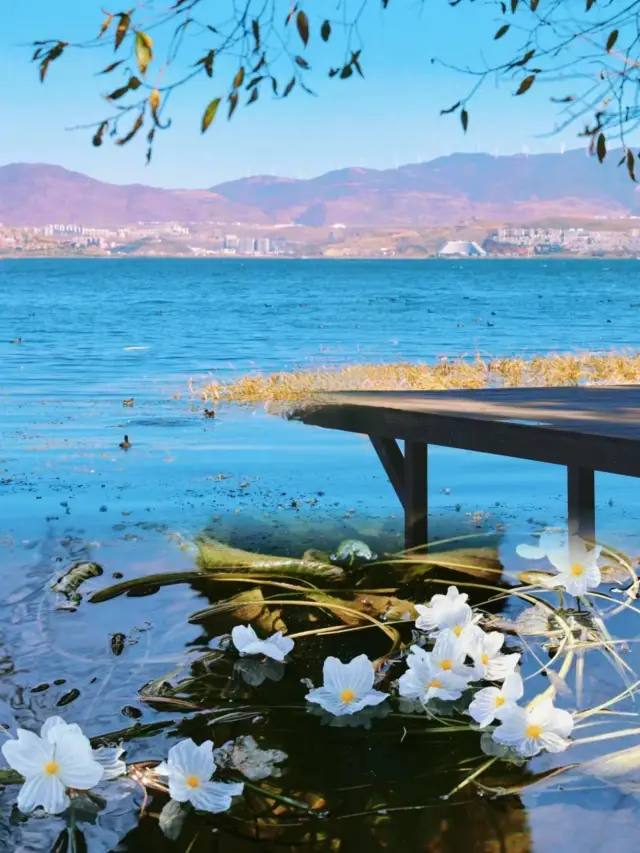 Step into a painting in Dali! Be healed by nature