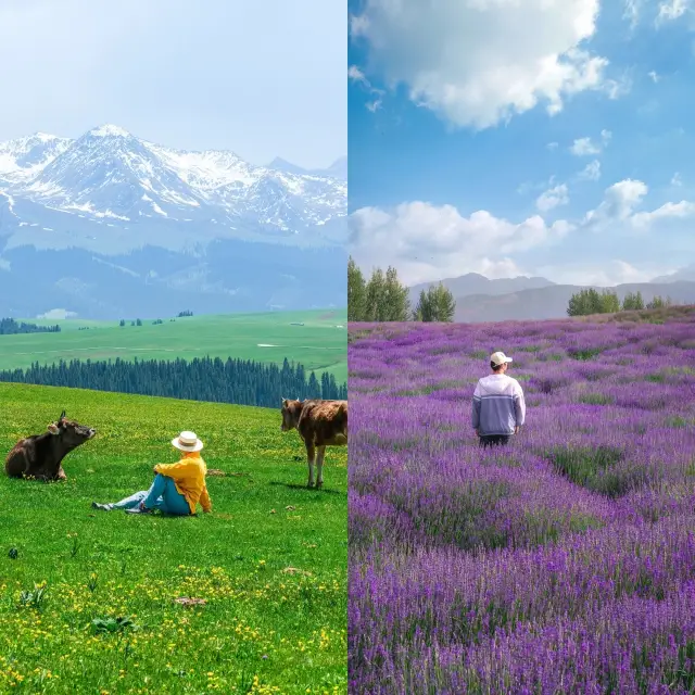 Xinjiang Ten-Day Tour Guide