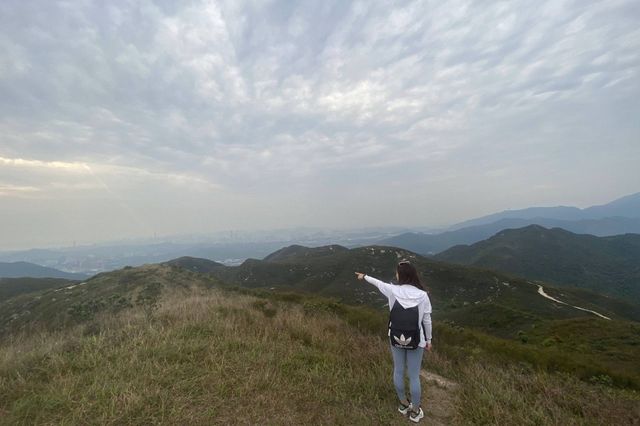 八仙嶺x黃嶺x屏風山．樓梯大挑戰