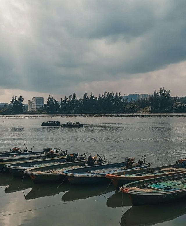 海口旁邊的小城鎮：老城