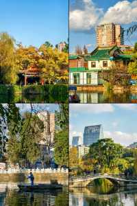 深秋的翠湖公園真的太美了（附攻略）